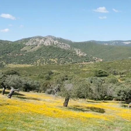 Holiday home Cosy House With Mountain View Canamero