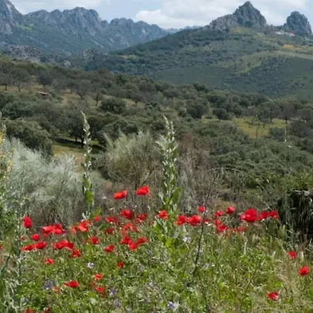 Cosy House With Mountain View Holiday home *