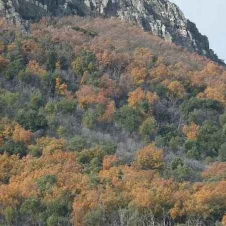 Cosy House With Mountain View *