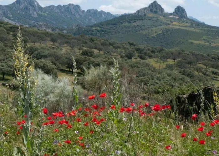 Cosy House With Mountain View Casa vacanze *