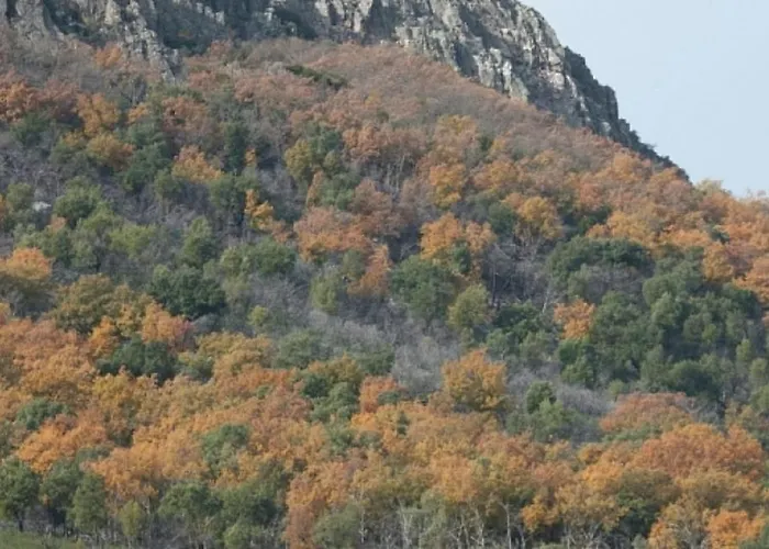 Cosy House With Mountain View *